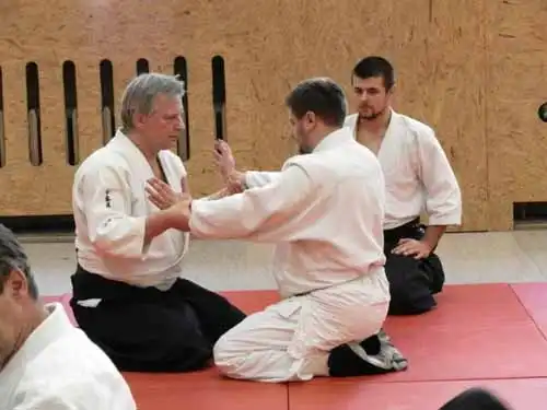 Aikido seminar in Berlin 2012.